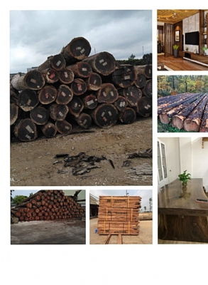 Long Dương Tiếp Tục Về Một Số Mặt Hàng Đầu Năm Để Phục Vụ Quý Khách
